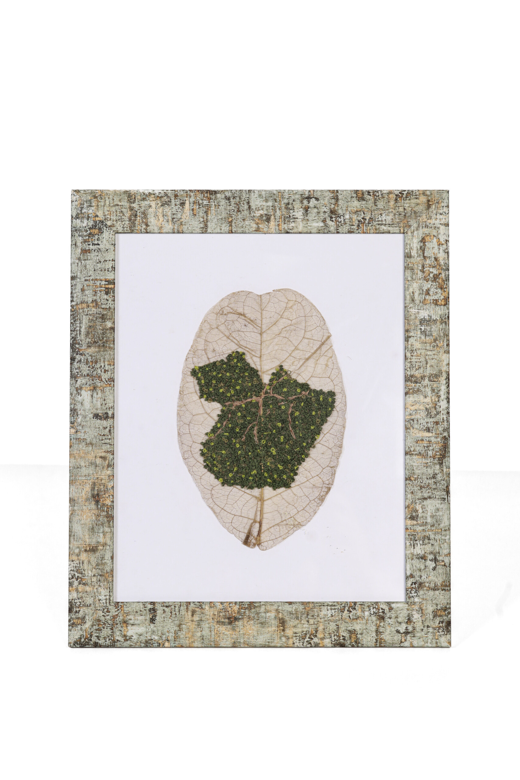 Acenet Andrade - FLOR DO IGARAPÉ-Fotos-Carlos-Borges-3377