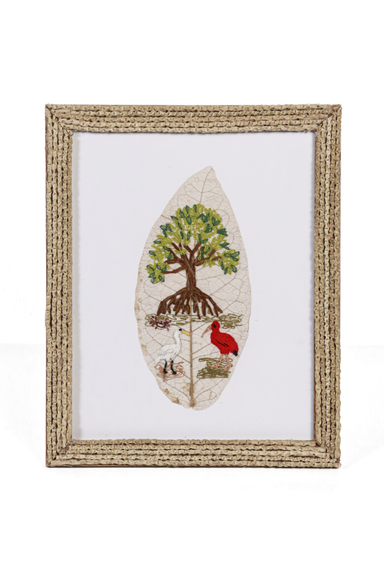 Acenet Andrade - FLOR DO IGARAPÉ-Fotos-Carlos-Borges-3386