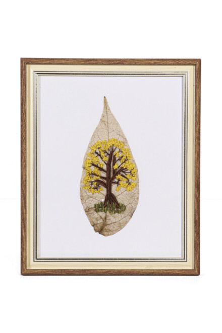 Acenet Andrade - FLOR DO IGARAPÉ-Fotos-Carlos-Borges-3390