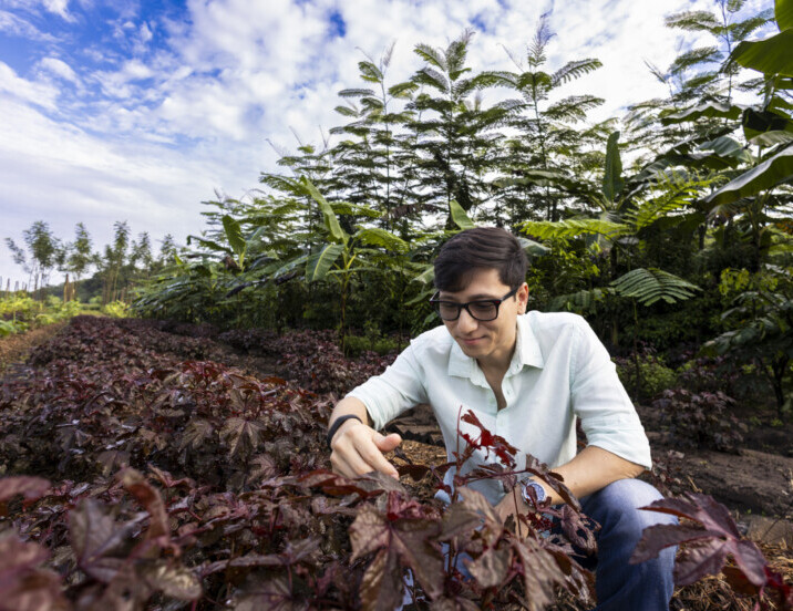 Bruno-Kato-Horta da Terra-Fotos ©Carlos Borges-274