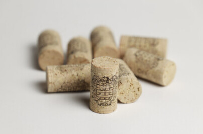 Maria Eli Avelar-CÍRIO ALIMENTOS-VINÍCULA AVELAR-Fotos-Carlos-Borges-2697